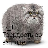 П(@)Л(@)Ч